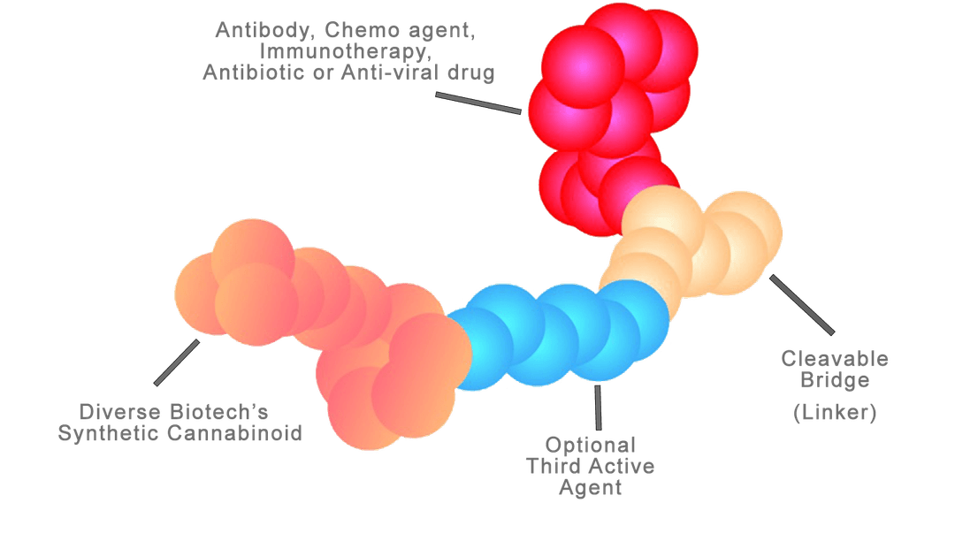 Conjugate Synthesis Platform